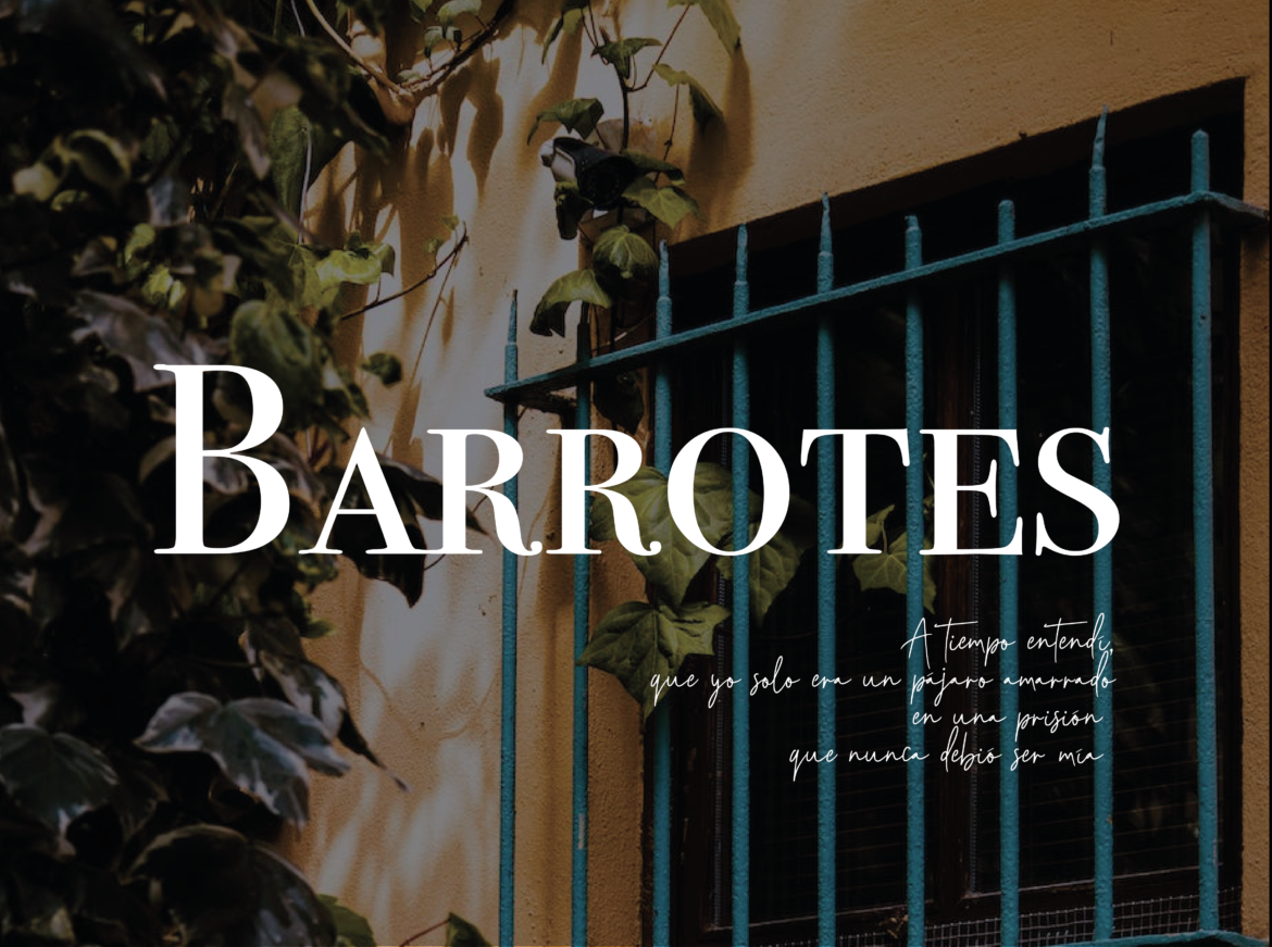 Barrotes