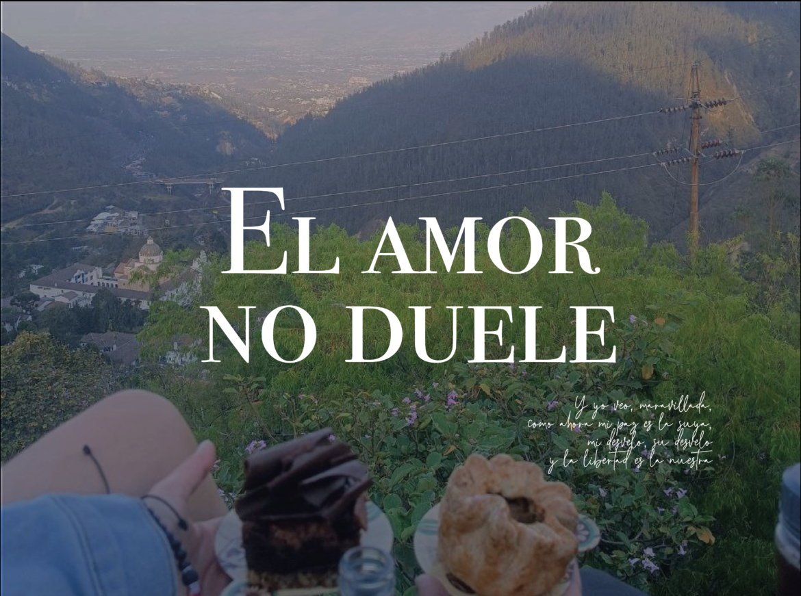 El amor no duele