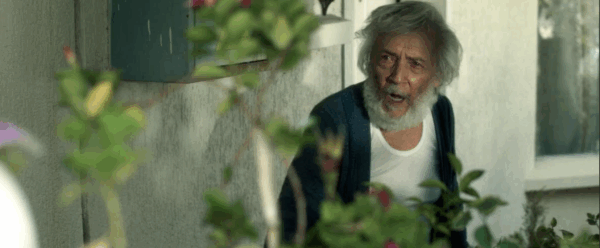 Viejos Malditos, la película que pone a un gato en el centro del drama humano